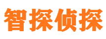 青原外遇调查取证